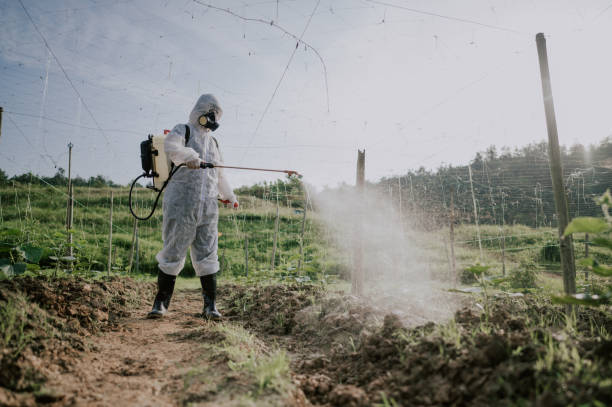Best Pest Control Cost  in Oak Grove, OR