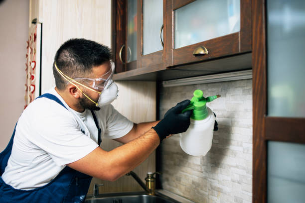 Best Affordable Pest Control Services  in Oak Grove, OR