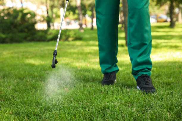 Best Affordable Pest Control Services  in Oak Grove, OR