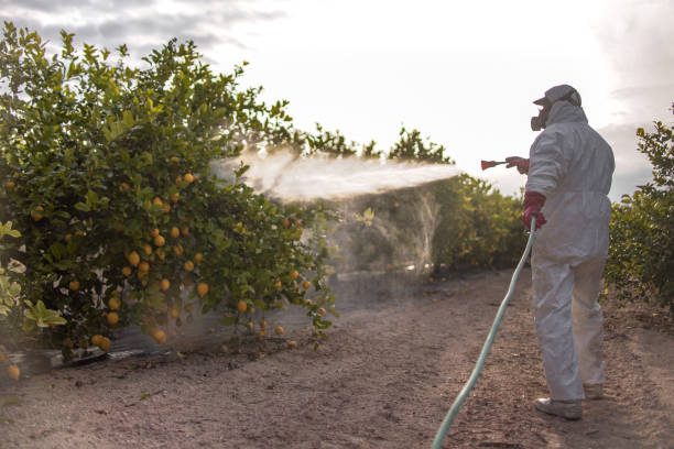 Best Cockroach Control Services  in Oak Grove, OR