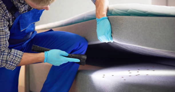 Best Pest Prevention Services  in Oak Grove, OR
