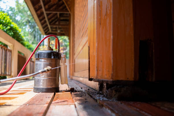 Pest Prevention Services in Oak Grove, OR