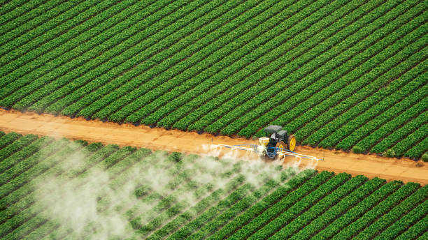 Best Pest Removal Services  in Oak Grove, OR