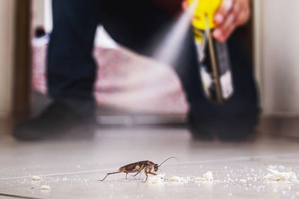 Best Spider Control Near Me  in Oak Grove, OR