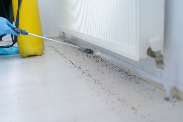Pest Control Cost in Oak Grove, OR