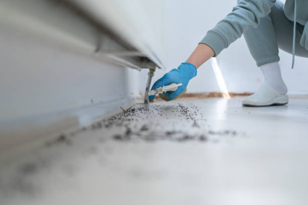 Best Commercial Pest Control Services  in Oak Grove, OR